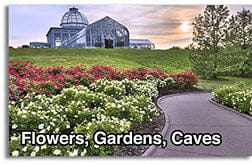 Flowers-Gardens-Caves - View-Master