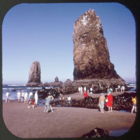 5 ANDREW - Oregon Coast - View-Master 3 Reel Packet - 1973 - vintage - A247-G3C Packet 3dstereo 