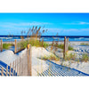 Beach Scene - 3D Action Lenticular Postcard Greeting Card - NEW Postcard 3dstereo 