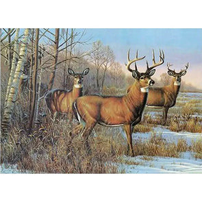 Deer near Stream - 3D Lenticular Poster - 12x16 - NEW Poster 3dstereo 