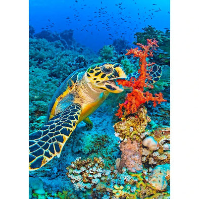 Hawksbill turtle and coral - 3D Lenticular Postcard Greeting Card - NEW Postcard 3dstereo 