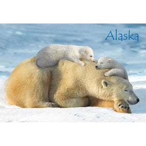 POLAR BEAR & CUBS - ALASKA - 3D Magnet for Refrigerators, Whiteboards, and Lockers - NEW MAGNET 3dstereo 