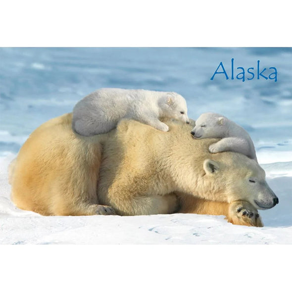 POLAR BEAR & CUBS - ALASKA - 3D Magnet for Refrigerators, Whiteboards, and Lockers - NEW MAGNET 3dstereo 