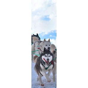 SLED DOGS - 3D Lenticular Bookmark -NEW Bookmarks 3Dstereo 