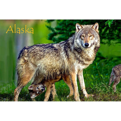 WOLF AND PUP - ALASKA - 3D Magnet for Refrigerators, Whiteboards, and Lockers - NEW MAGNET 3dstereo 