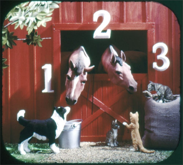 4 ANDREW - 1 2 3 Farm - Learning is Fun - View Master 3 Reel Packet - 1962 - vintage - B412-G3B Packet 3dstereo 