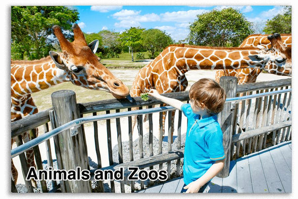 Animals and Zoos - View-Master