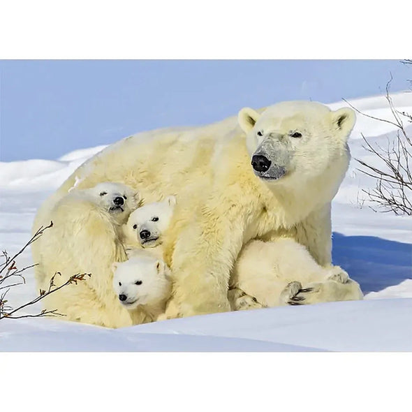 Polar Bear Mother with Cubs 2 - 3D Lenticular Postcard Greeting Card - NEW Postcard 3dstereo 