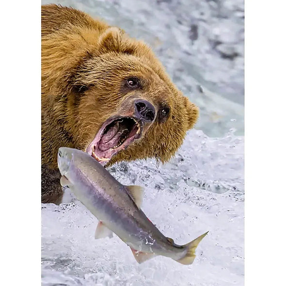 Grizzly Bear catching salmon 2 - 3D Lenticular Postcard Greeting Card - NEW Postcard 3dstereo 