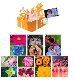Gift Tags Combo - 14 Different 3D Lenticular Gift Tags Cards - NEW Gift Cards 3dstereo 