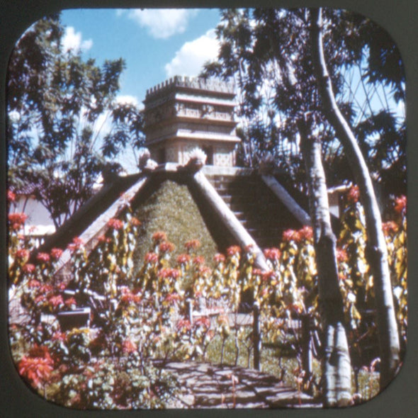 5 ANDREW - Tegucigalpa - Honduras - View-Master Single Reel - 1946 - vintage - 558 Reels 3dstereo 