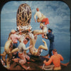 9 ANDREW - 20,000 Leagues Under the Sea - View-Master 3 Reel Economy Packet - vintage - 974-A,B,C-S3 Packet 3Dstereo 