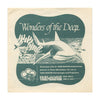9 ANDREW - Wonders of the Deep - View-Master 3 Reel Packet - vintage - 990-A,B,C-S1 Packet 3Dstereo 