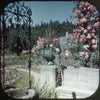 9 ANDREW - Victoria & Butchart Gardens - View-Master 3 Reel Economy Packet - vintage - A013-S4 Packet 3Dstereo 