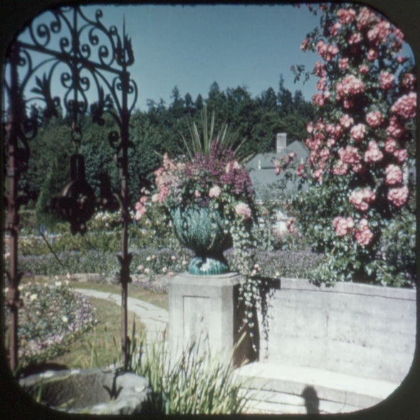 9 ANDREW - Victoria & Butchart Gardens - View-Master 3 Reel Economy Packet - vintage - A013-S4 Packet 3Dstereo 
