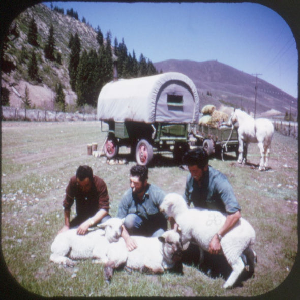 The Mountain States - View-Master 3 Reel Economy Packet - vintage - A136-G3A Packet 3dstereo 