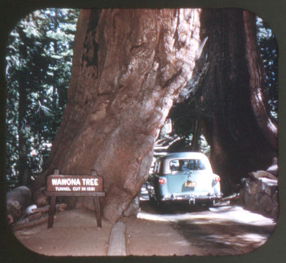 Yosemite National Park - View-Master 3 Reel Packet - vintage - A171-S4 Packet 3dstereo 