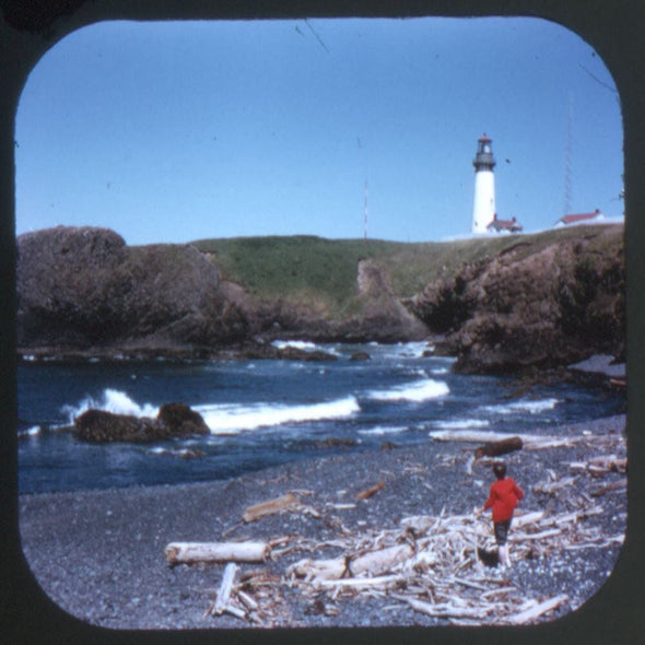 11 ANDREW - Sea Lion Caves - View-Master 3 Reel Economy Packet - vintage - A247-S6A Packet 3dstereo 