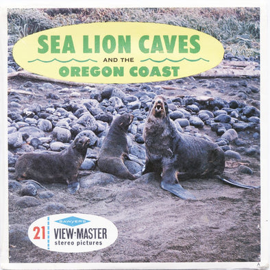 11 ANDREW - Sea Lion Caves - View-Master 3 Reel Economy Packet - vintage - A247-S6A Packet 3dstereo 