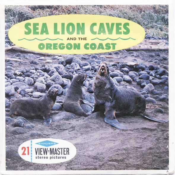 11 ANDREW - Sea Lion Caves - View-Master 3 Reel Economy Packet - vintage - A247-S6A Packet 3dstereo 