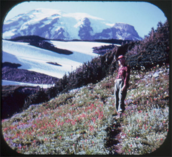 5 ANDREW - Mount Rainier National Park - View-Master 3 Reel Packet - vintage - A271-S5 Packet 3dstereo 