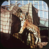 11 ANDREW - Milwaukee County Zoo - View-Master 3 Reel Economy Packet - vintage - A527-G3A Packet 3dstereo 