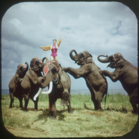 10 ANDREW - Old-Time Circus - Train, Acts, Parade - View-Master 3 Reel Packet - vintage - A530-G1A Packet 3dstereo 