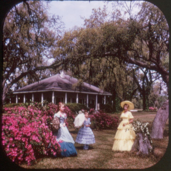 11 ANDREW - Mississippi - State Tour Series - View-Master 3 Reel Economy Packet - vintage - A935-S6A Packet 3dstereo 