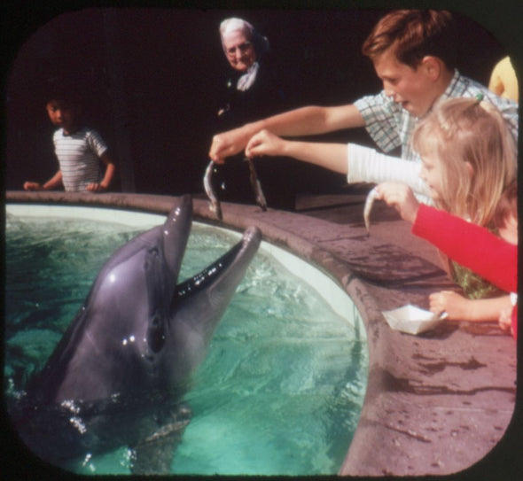 Sea World - Orlando, Florida - View-Master 3 Reel Packet - 1973 - vintage - A937-G3A Packet 3dstereo 