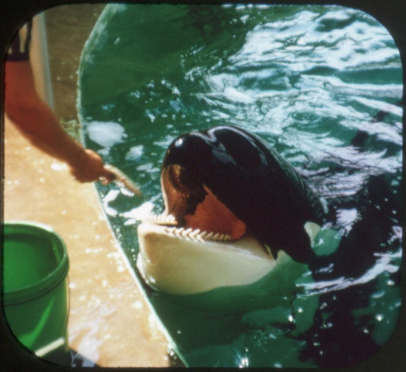 Sea World - Orlando, Florida - View-Master 3 Reel Packet - 1973 - vintage - A937-G3A Packet 3dstereo 