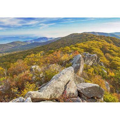 Shenandoah National Park - 3D Lenticular Postcard Greeting Card - NEW Postcard 3dstereo 
