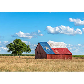 Texas Bluebonnets - 3D Lenticular Postcard Greeting Card - NEW Postcard 3dstereo 