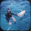 11 ANDREW - The Out Islands of the Bahamas - View-Master 3 Reel Packet - vintage - B028-G1A Packet 3dstereo 