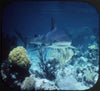 10 ANDREW - Wonders of the Deep - View-Master 3 Reel Packet - vintage - B612-G1A Packet 3Dstereo 