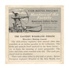 9 ANDREW - Hunters of the Forests - View-Master 3 Reel Economy Packet - vintage - B722-S4 Packet 3Dstereo 