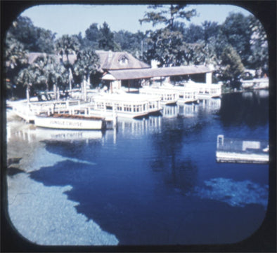 7 ANDREW - Silver Springs and Flowers Florida - View-Master - Blue Ring - Reel (BR-161c) Reels 3dstereo 