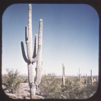 7 ANDREW - Desert Scenes - Arizona - View-Master Hand-Lettered Reel - vintage - (HL-178n) Reels 3dstereo 