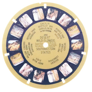 7 ANDREW - Desert Wild Flowers in Bloom - View-Master Blue Ring Reel - vintage (BR-290n) Reels 3dstereo 