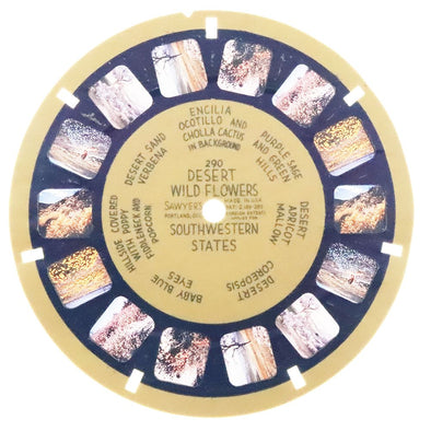 7 ANDREW - Desert Wild Flowers in Bloom - View-Master Blue Ring Reel - vintage (BR-290n) Reels 3dstereo 