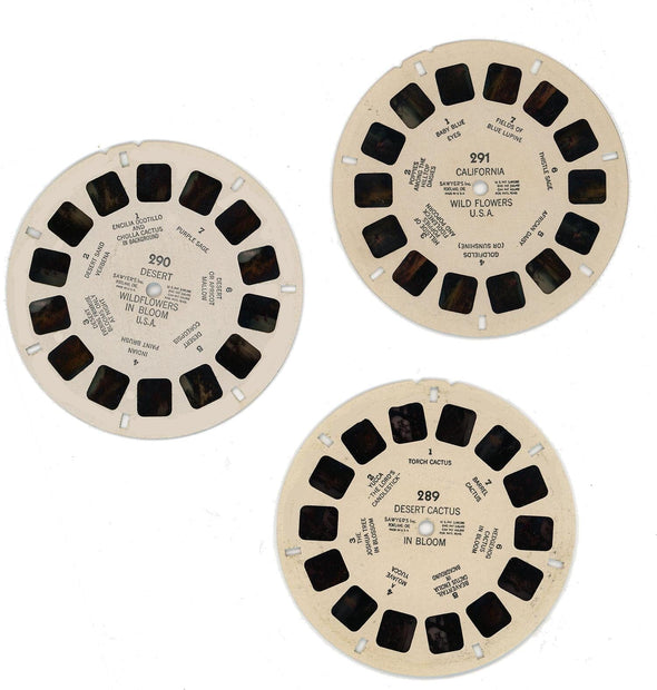 View-Master Wildflowers - Vintage - 1950s views CREL 3dstereo 