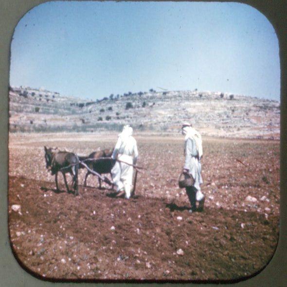 Jerusalem - Israel - Vintage Classic View-Master - 1950s views CREL 3Dstereo 