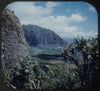 Oahu, The Capital Island - Hawaii, The Orchid Island - Hawaii National Park - Vintage Classic View-Master - Set of 3 Reels - 1950s views CREL 3dstereo 