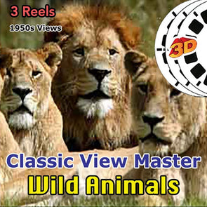 Wild Animals - Vintage Classic View-Master - 1950s views CREL 3Dstereo 