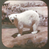 Wild Animals - Vintage Classic View-Master - 1950s views CREL 3Dstereo 