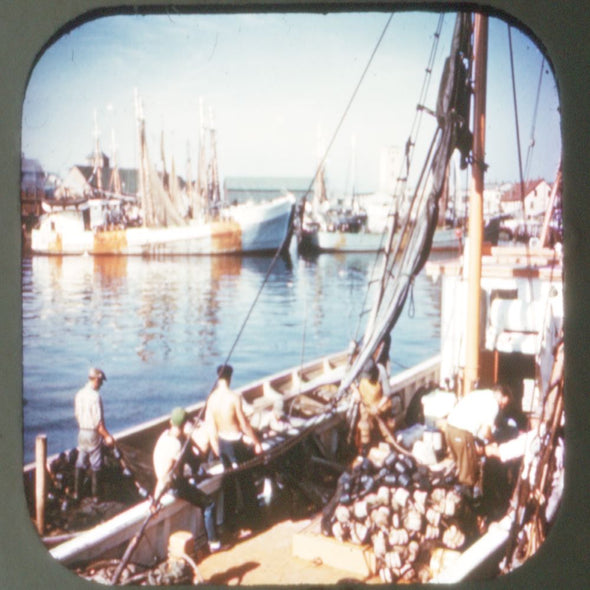 Glouster, Massachusetts - Vintage Classic View-Master - 1950s views CREL 3Dstereo 