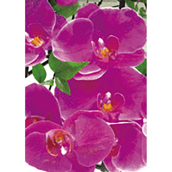 Orchid - 3D Lenticular Postcard Greeting Card - NEW Post Cards 3dstereo 