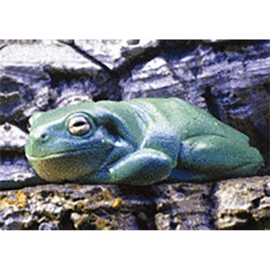 Frog - 3D Lenticular Postcard Greeting Card - NEW Post Cards 3dstereo 