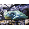 Frog - 3D Lenticular Postcard Greeting Card - NEW Post Cards 3dstereo 