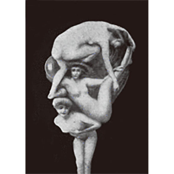 Anatomical - 3D Lenticular Postcard Greeting Card - NEW Post Cards 3dstereo 
