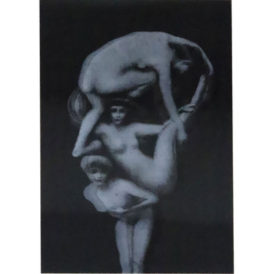 Anatomical - 3D Lenticular Postcard Greeting Card - NEW Post Cards 3dstereo 